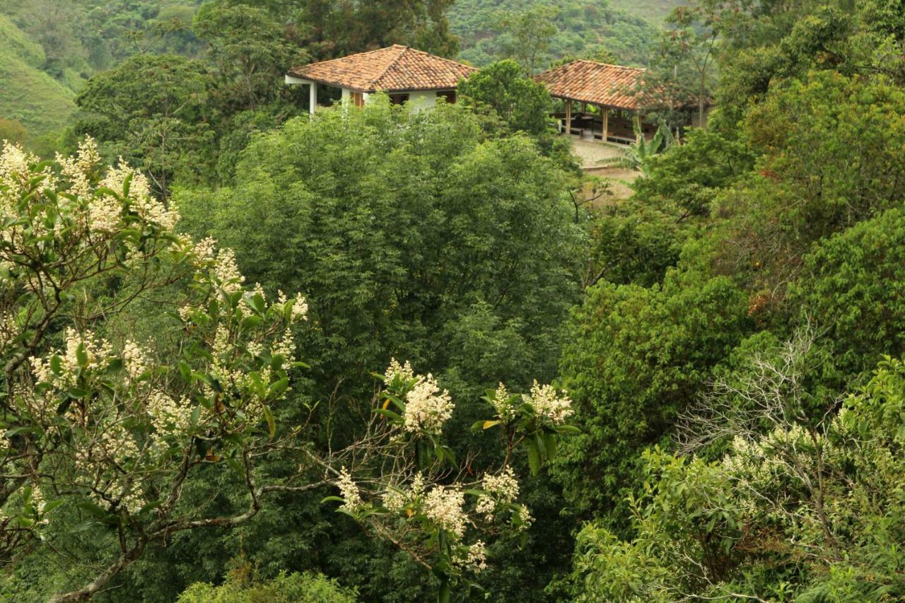 סאלנטו Eco Hotel El Columpio מראה חיצוני תמונה
